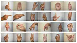 Detection and classification of hand gestures based on the sign language using handcrafted and deep learning methods